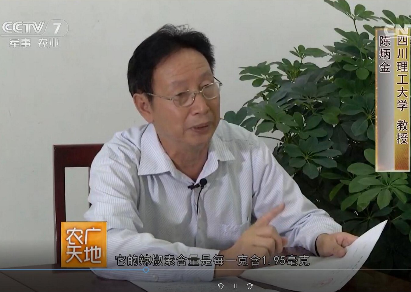 CCTV7频道：[农广天地]：辣椒新品种“朝地椒1号”