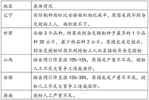 2019年川椒公司安排辣椒杂交种子制种面积与收获情况