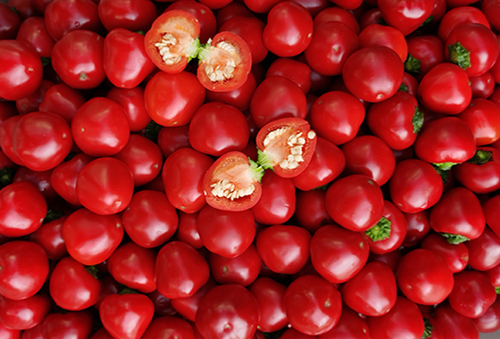 川椒种业：干制辣椒生产更应当重视氮肥的施用