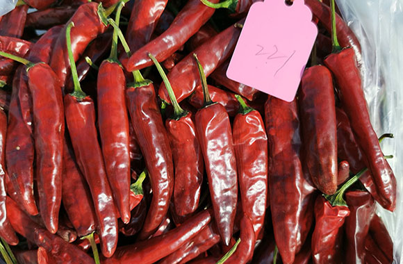 川椒种业：辣椒品种要想高产，种植方式是关键