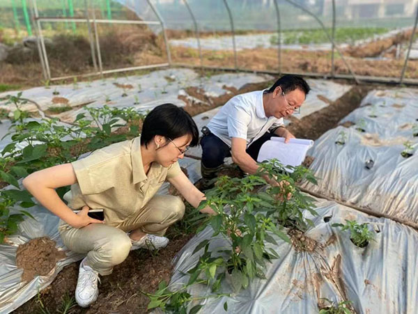 川椒种业科研基地陈总在做记录