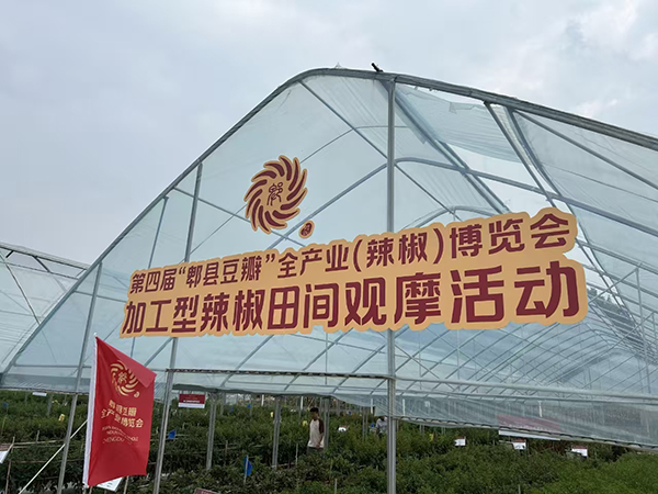 第四届“郫县豆瓣”全产业（辣椒）博览会