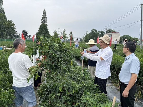 第四届“郫县豆瓣”全产业（辣椒）博览会