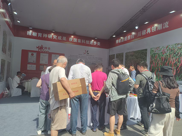 第十届遵义辣椒博览会，川椒再次斩获全国新优品种大奖