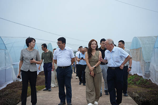 辣业兴农聚合力 全链共生谋发展——院士专家齐聚富顺，吹响辣椒产业高质量发展号角