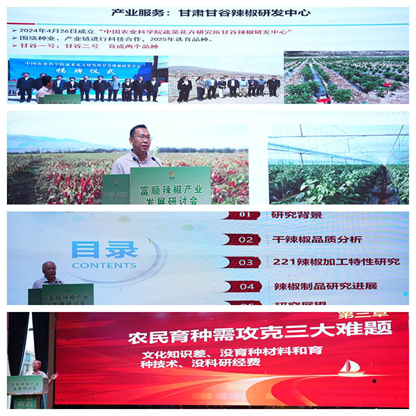 辣业兴农聚合力 全链共生谋发展——院士专家齐聚富顺，吹响辣椒产业高质量发展号角